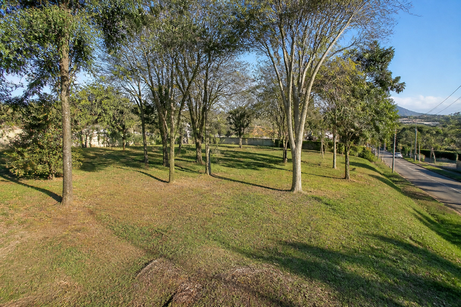Terreno residencial arbolado
